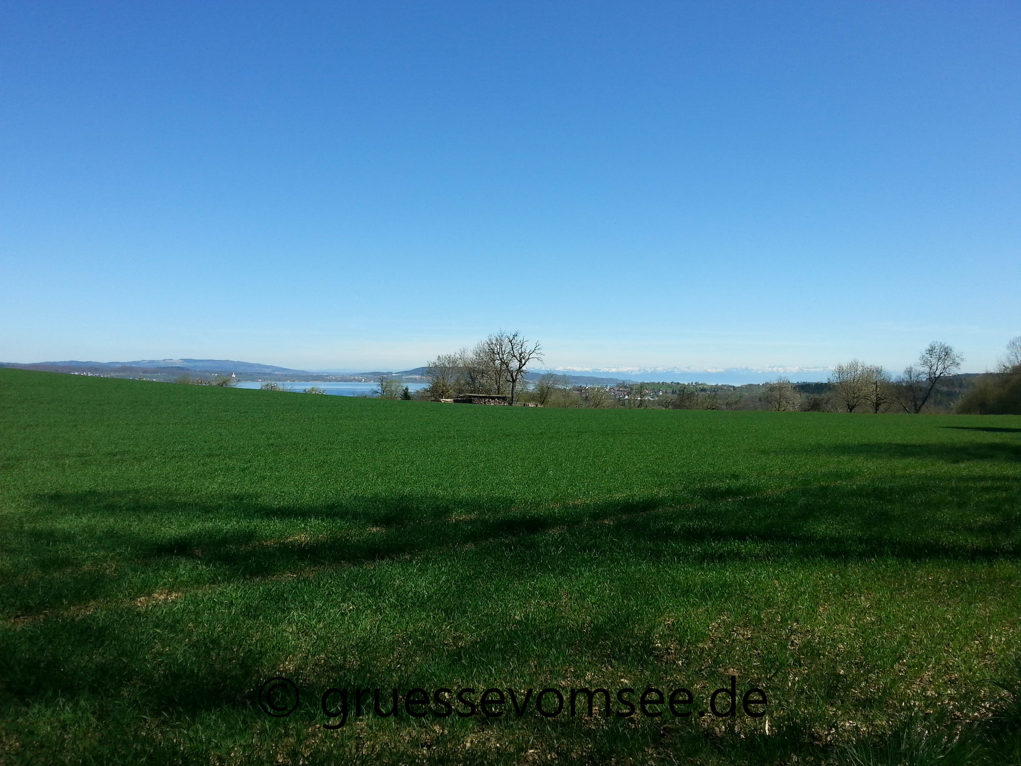 Premiumwanderweg_SeeGang_Teilstück_Dingelsdorf_Wallhausen