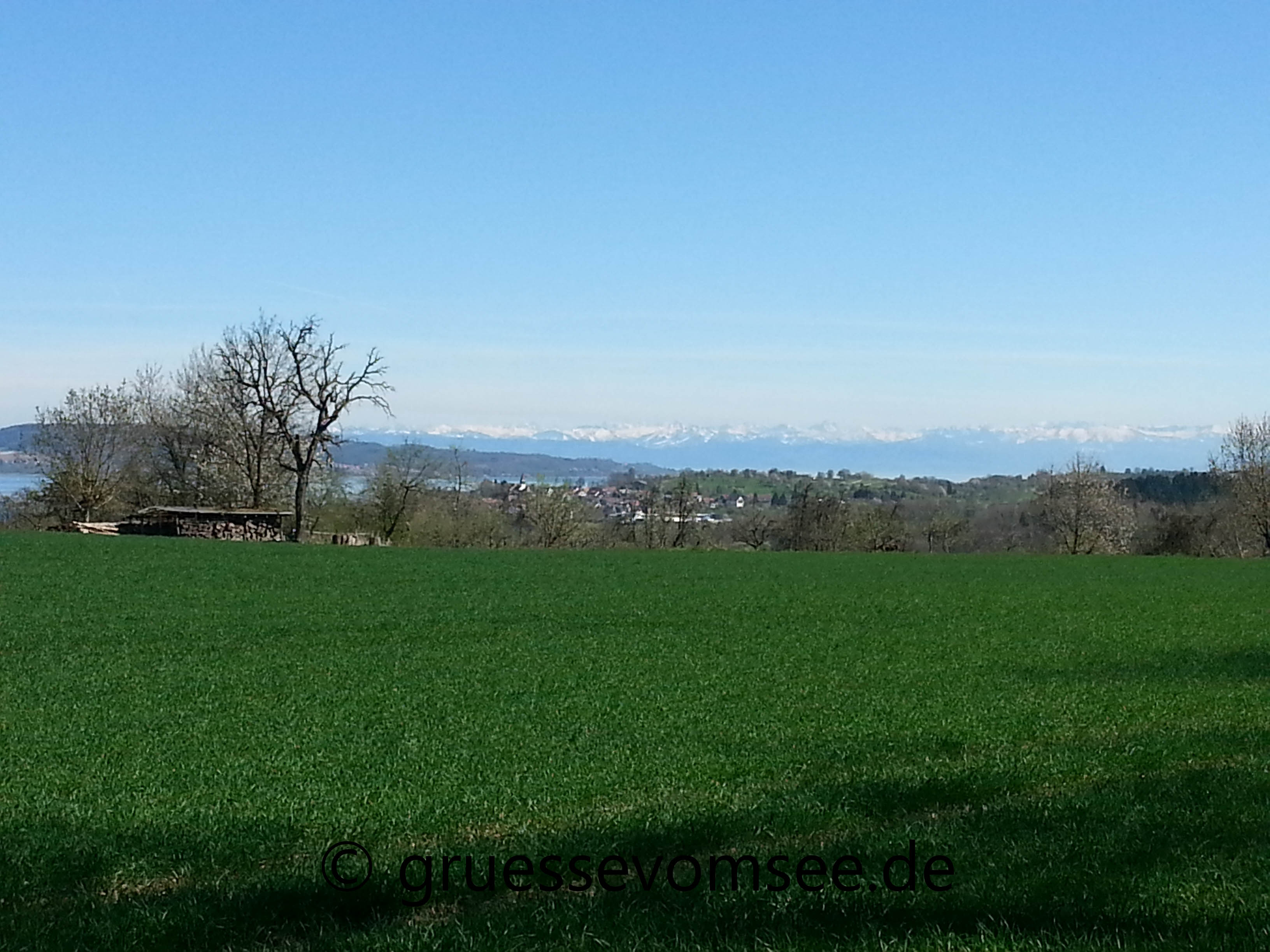 Premiumwanderweg_SeeGang_Teilstück_Dingelsdorf_Wallhausen