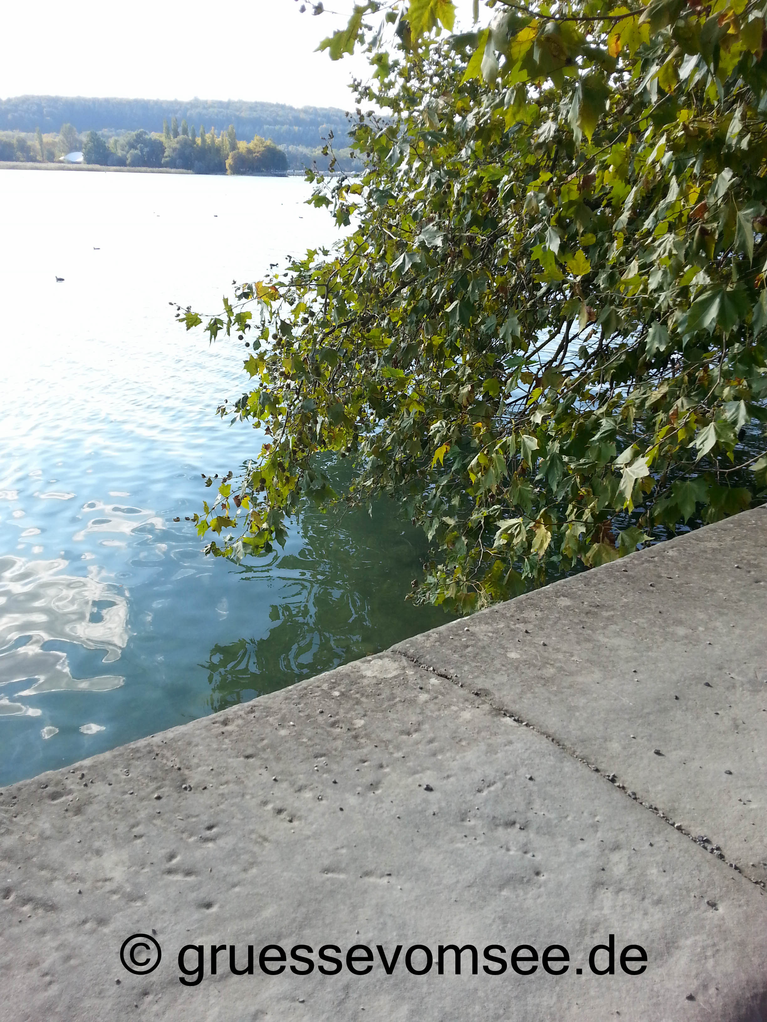 Mainau_See_Herbsttag_gruessevomsee