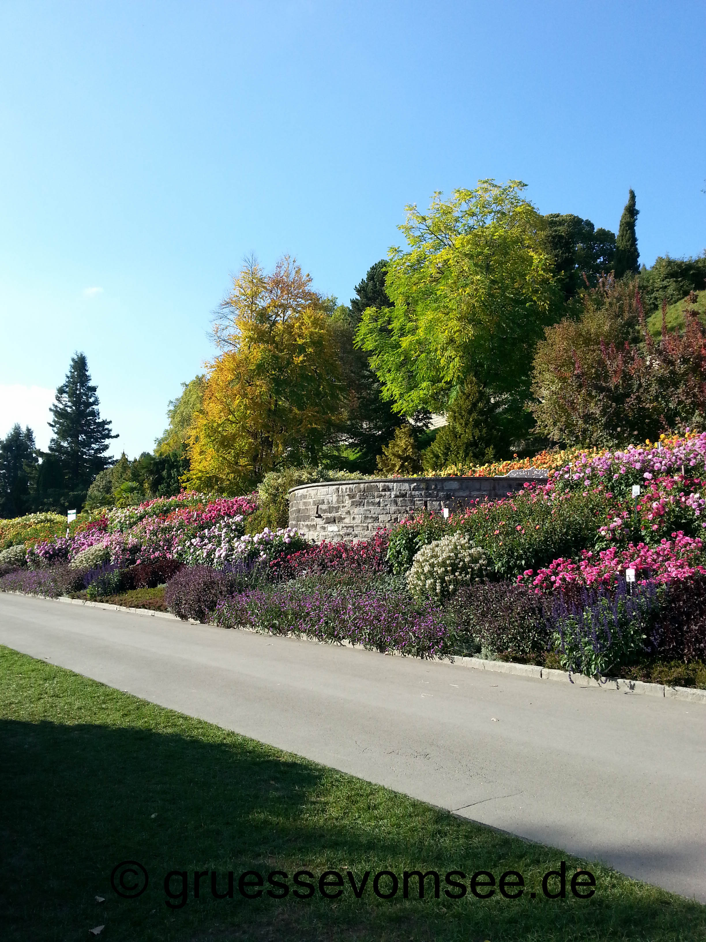 gruessevomsee_herbsttag_Mainau_dahlien_panorama