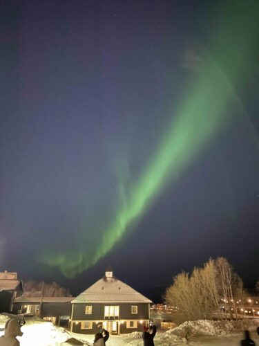 nordlicht narvik hotel 