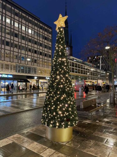 Tannenbaum Stockholm 