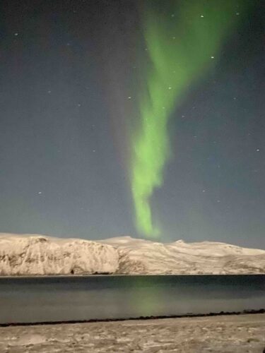nordlicht am fjord