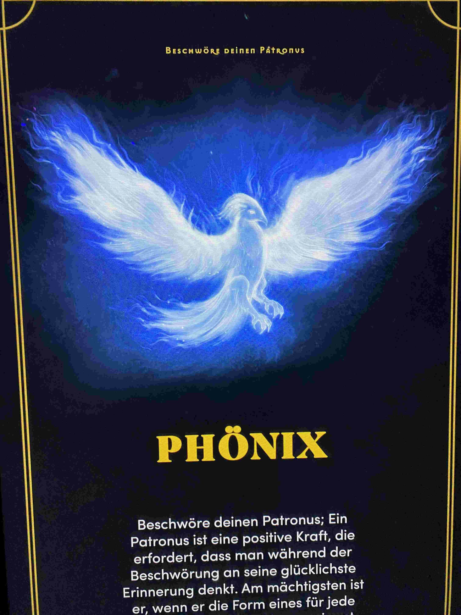 harry potter ausstellung phoenix