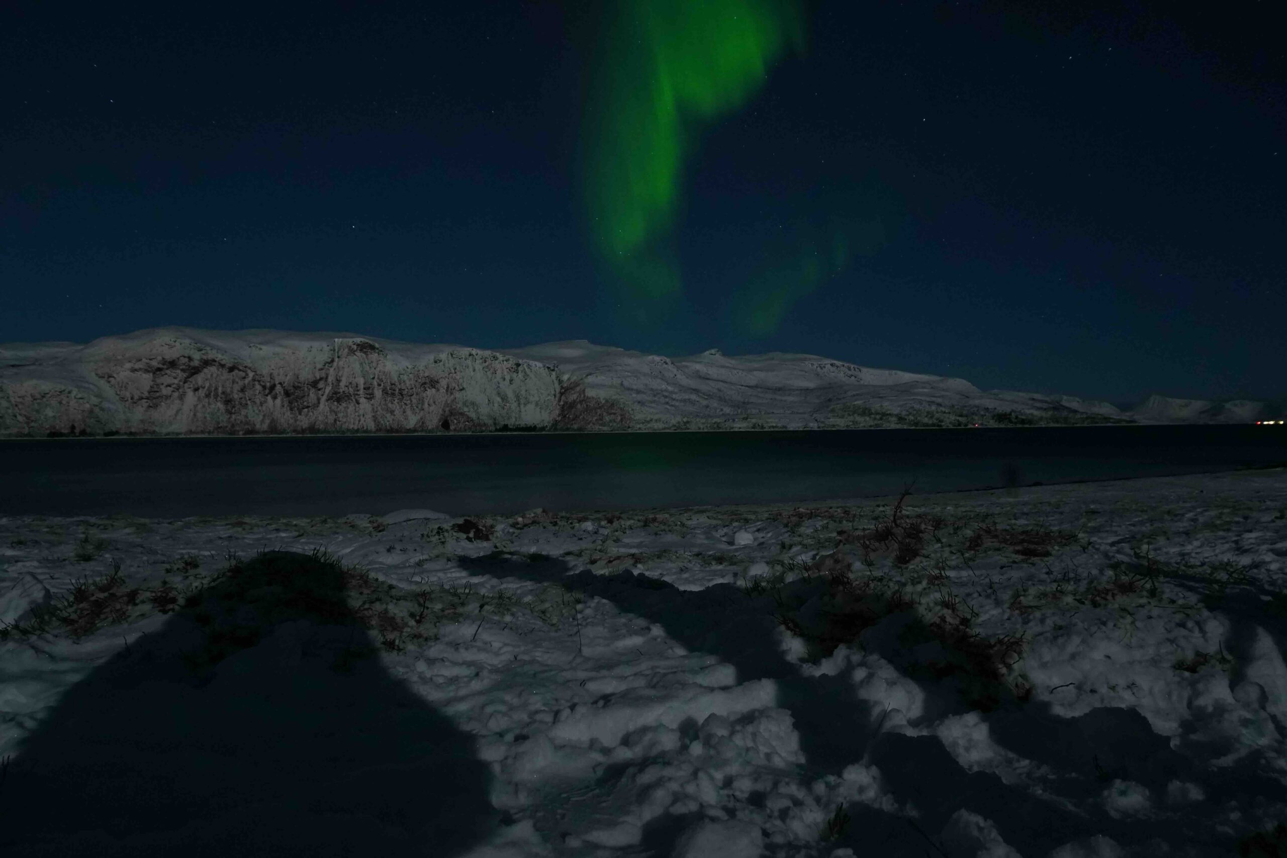 Fjord Nordlichtfahrt