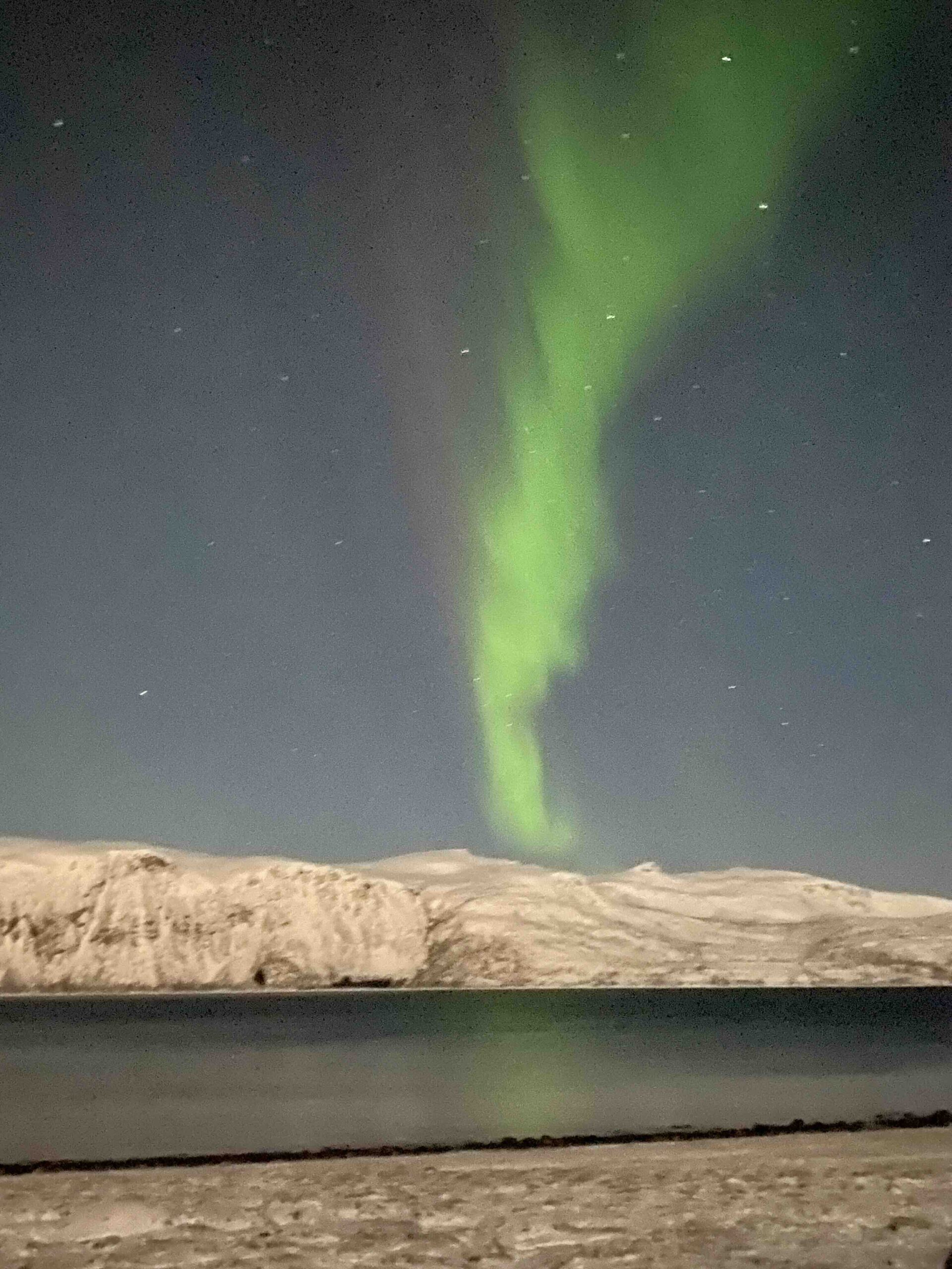 nordlicht am fjord