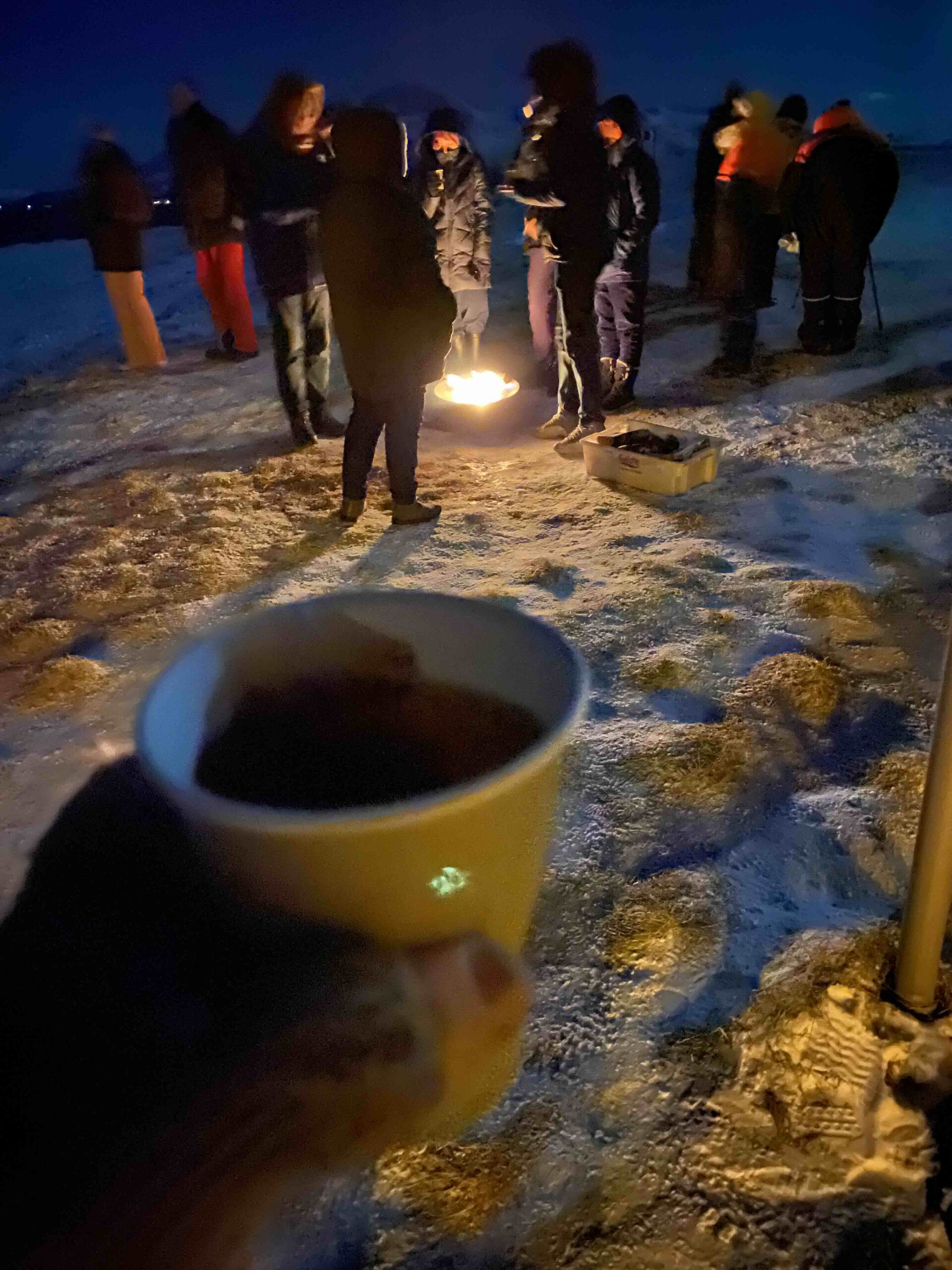 Teatime am Fjord - Fahrt Nordlichter