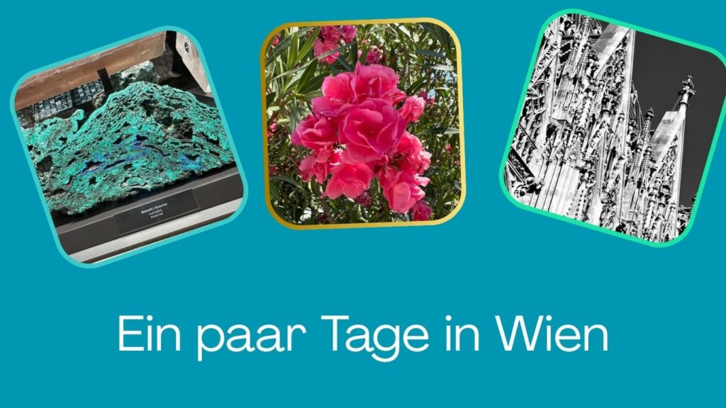 Ein paar Tage in Wien Titelbild