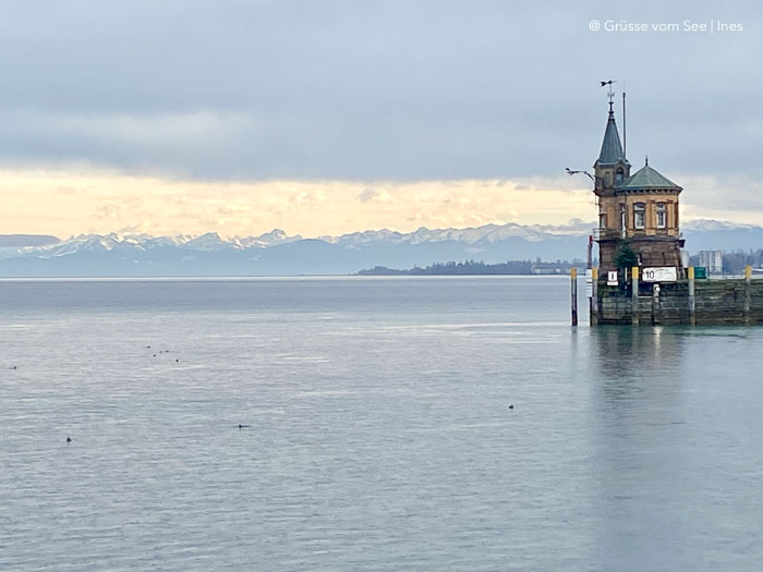 Bodensee mit Alpen