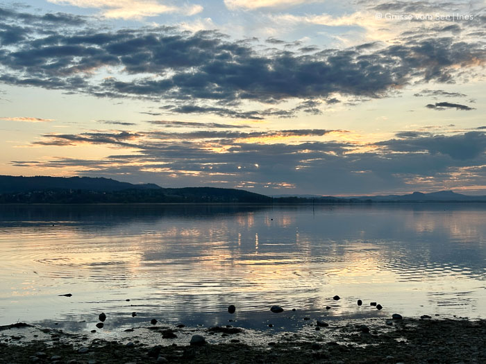 bodensee niedrigwasser