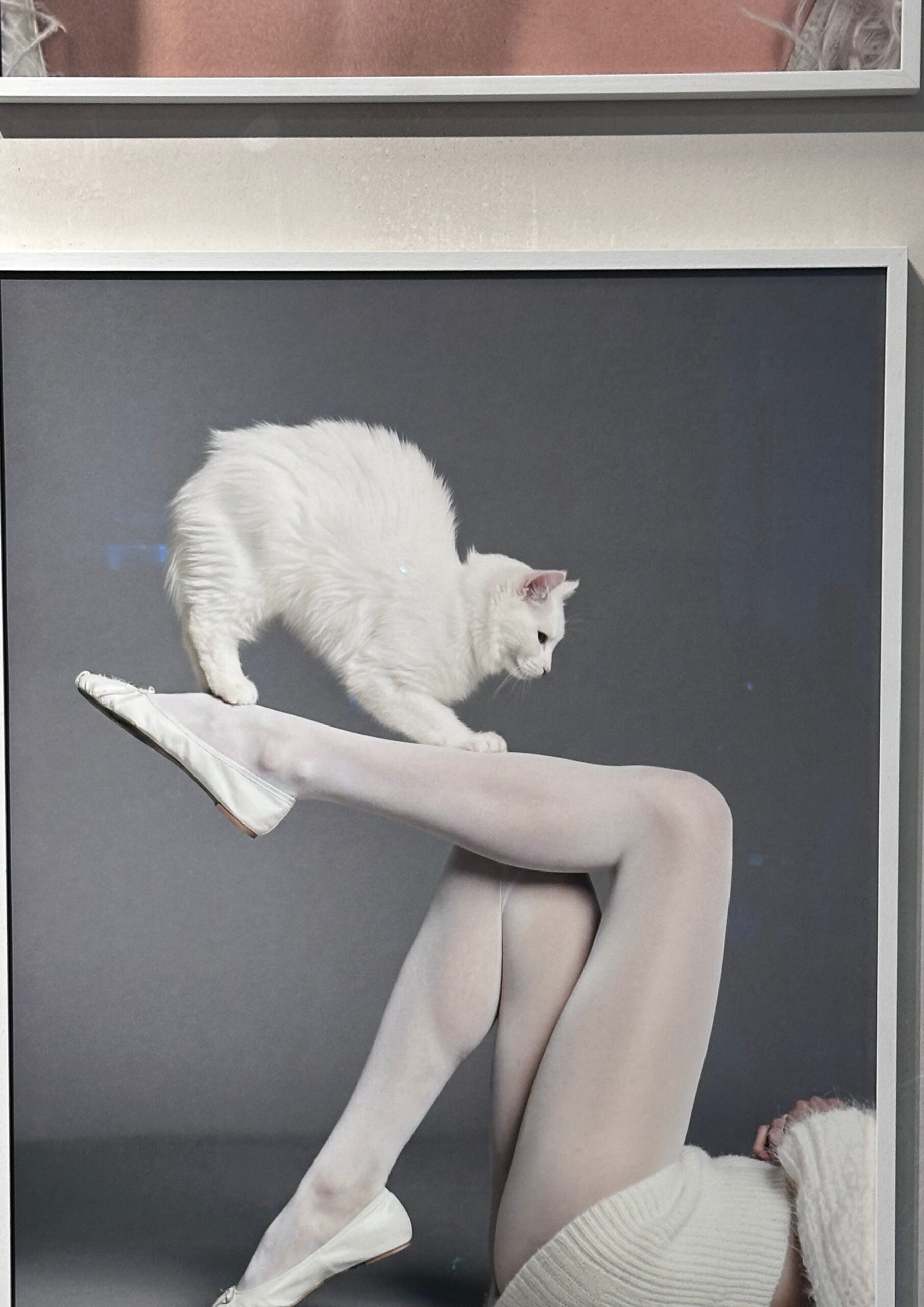 gluecksmomente-gruessevomsee-juni-ausstellung-fotografie-leica-galerie